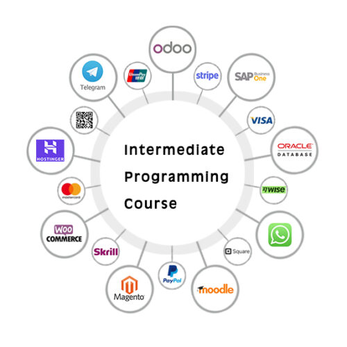 Intermediate Programming Course